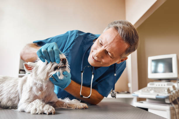 Best Broken Tooth Emergency  in Dunbar, SC